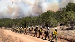 Three firefighters die battling huge wildfires on Colorado-Utah border