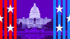 What are the US midterms? A simple guide